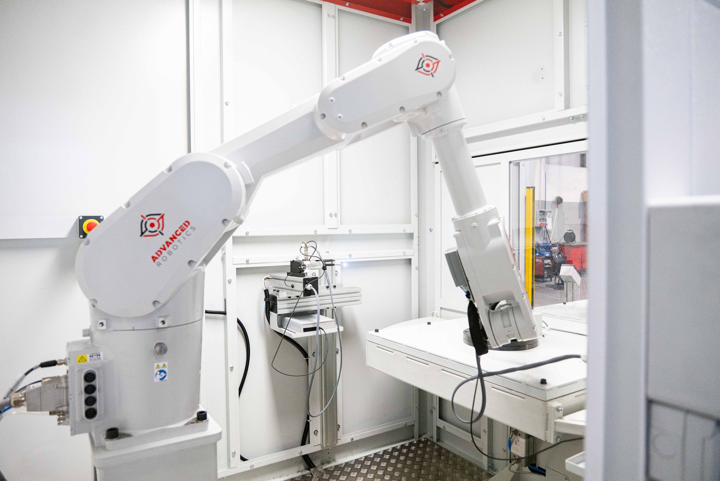 Il robot della cella con il videoscopio montato
